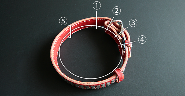 丸革首輪のサイズ