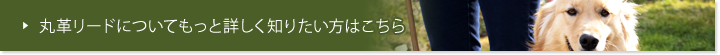 丸革リードについて詳しく知りたい方はこちら